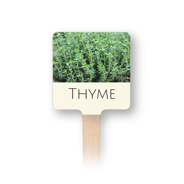 Houten plantenlabel full colour print (set van 12)