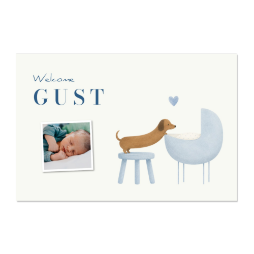 Watercolor Puppy Cradle Watercolor Puppy Cradle