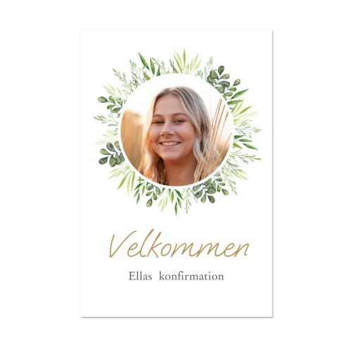 Green leaves Green leaves