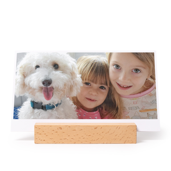 woodblockpanowithprints_photoonly