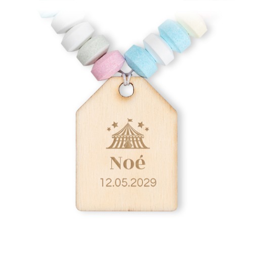 Circus Ticket Circus Ticket