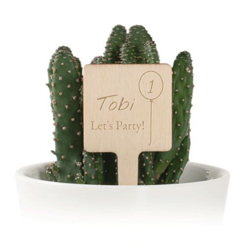Forest Animals Party Forest Animals Party