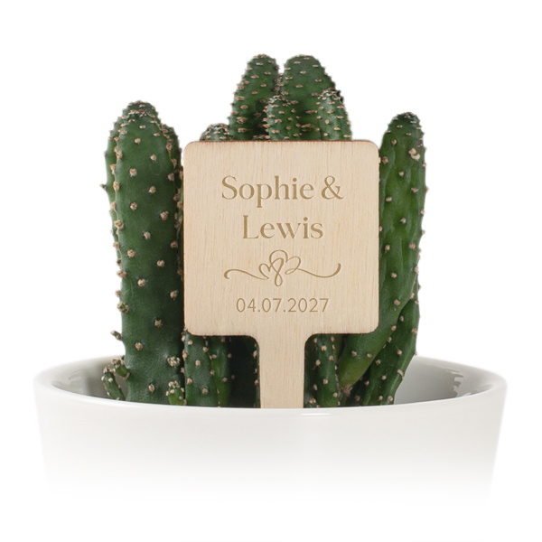 Bloempot met houten label - set van 12 Bloempot met houten label - set van 12