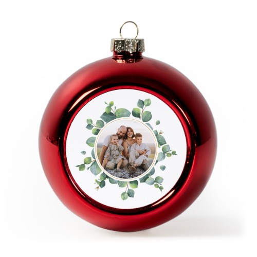 Eucalyptus Leaves Eucalyptus Leaves