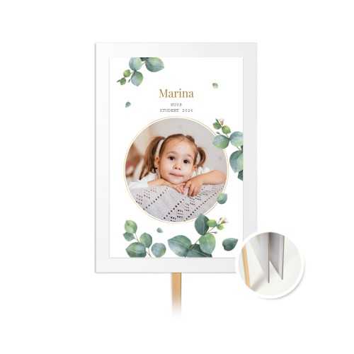 StudentEucalyptusLeaves