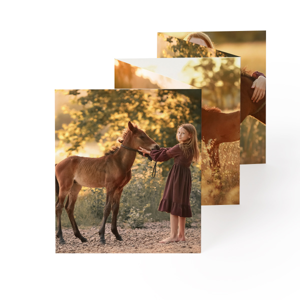 portfoliocard7cmv_photoonly