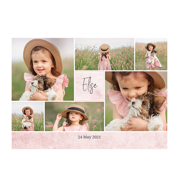 singlecardh_concretewallpink