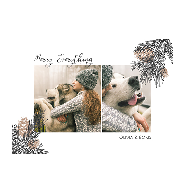 singlecardh_pineconebranch