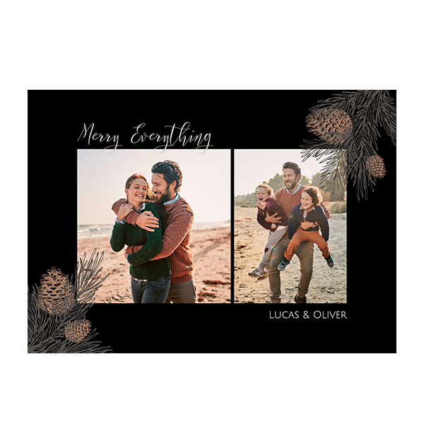 singlecardh_pineconebranchblack