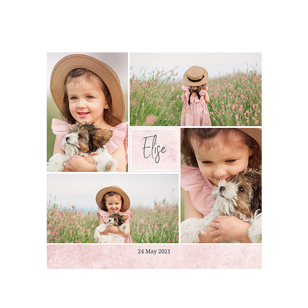 singlecardsq_concretewallpink