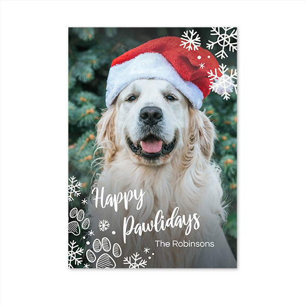 singlecardv_snowypaws