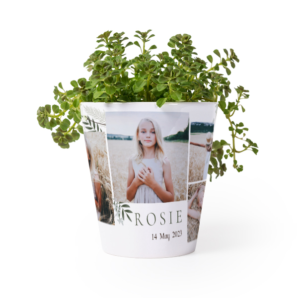 flowerpot_forestbouquetcollagewhite