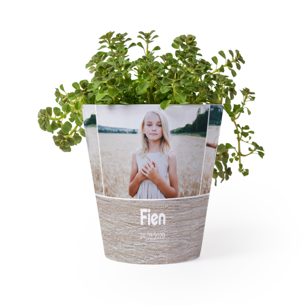 flowerpot_materialcollagebeige