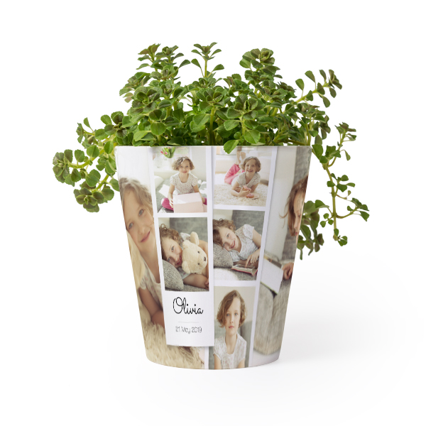 flowerpot_photoboothcollage