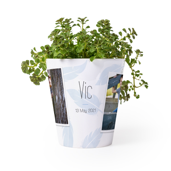 flowerpot_softfeathersblue