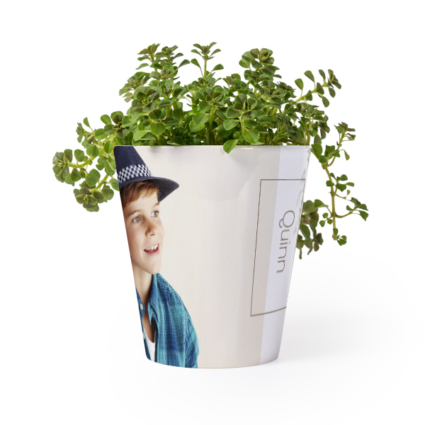 flowerpot_thinframebeige