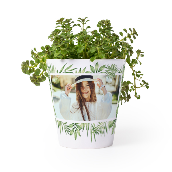 flowerpot_tropicalplantframe