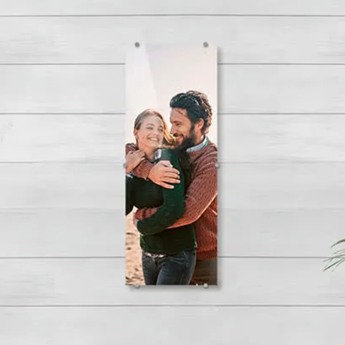 Foto op acrylglas 30 x 80 cm