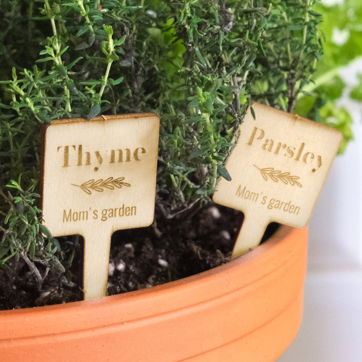 smartphoto Puinen taimikyltti - 12 kpl