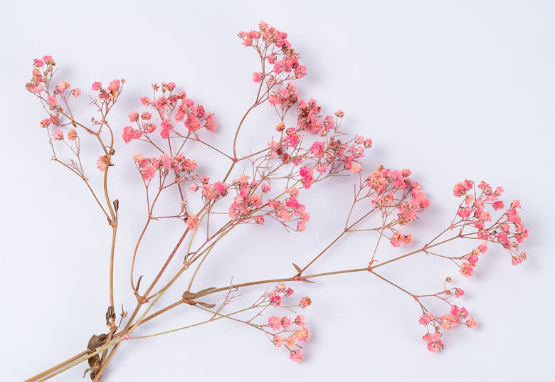 Engraved Ceramic Vase