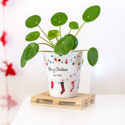 Pot de fleurs