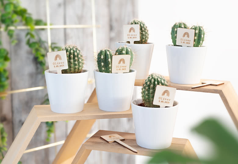 Bloempotjes (set van 12)