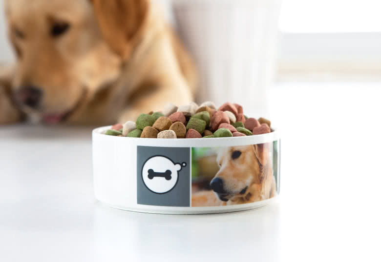 Make a Pet Bowl