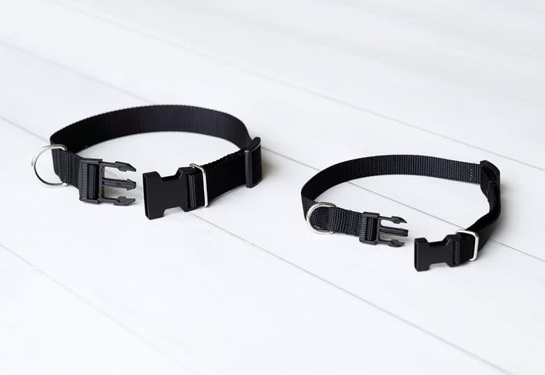 Dog collar