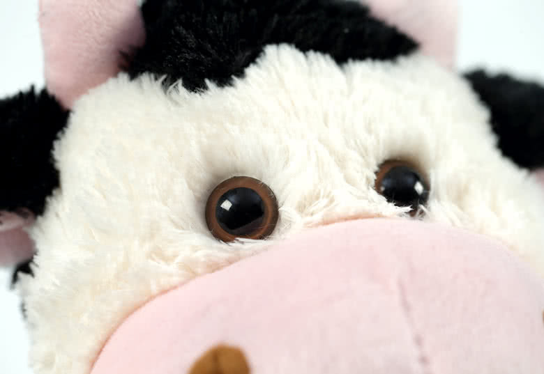 Create a Stuffed Animal