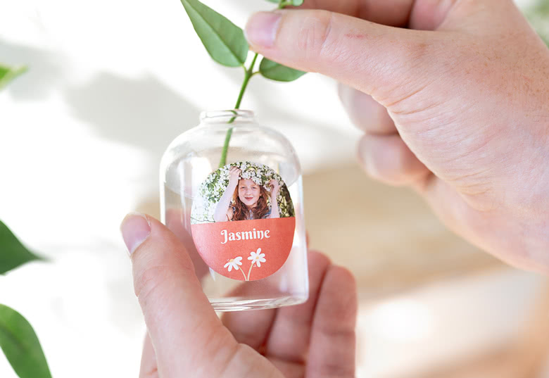 Petits vases (lot de 6)