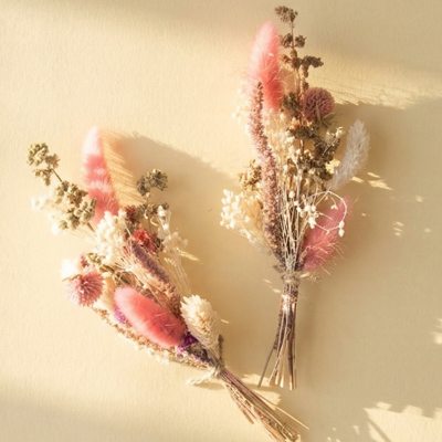 Fleurs séchées (lot de 6)