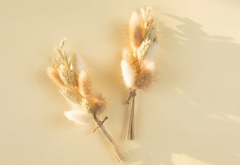 Fleurs séchées (lot de 6)