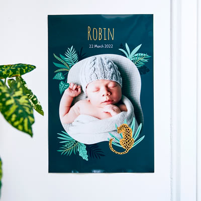 Posters Posters