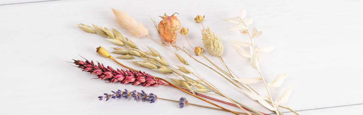 Gedroogde bloemen zijn de perfecte toevoeging aan je gepersonaliseerde product. Ze zijn gemakkelijk te verzorgen en hebben geen onderhoud nodig. Ze zien er prachtig uit en voegen overal wat kleur toe aan je ruimte.