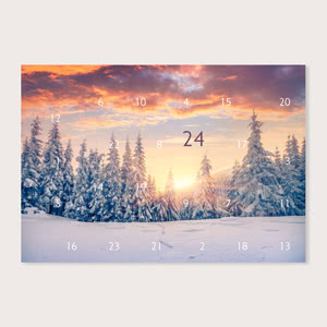 Snowy Trees