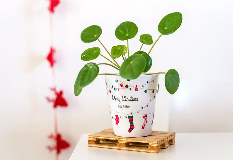Pot de fleurs personnalisé - smartphoto