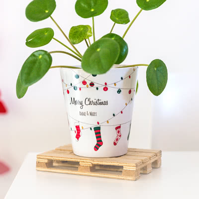A flower pot for the Christmas table setting Flower Pot