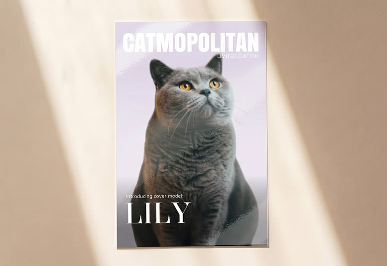 Magazine cover with luxurious filter