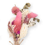 Droogbloemen gekleurd - set van 6