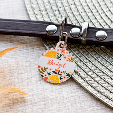 Anhänger für Tierhalsband Knochen