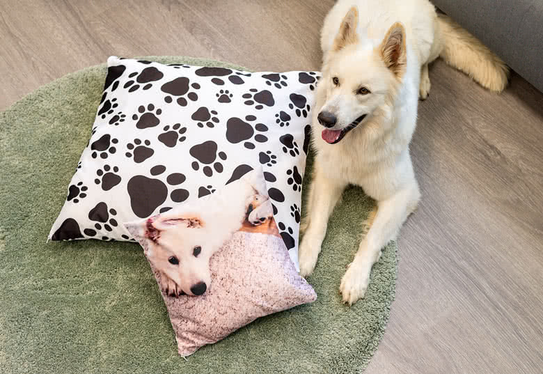Des cadeaux de Noël pour les animaux Des cadeaux de Noël pour les animaux
