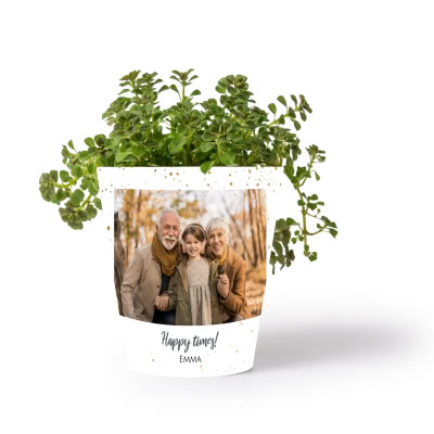 Pot de fleurs