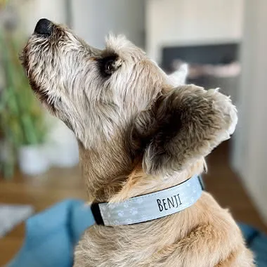 For pets