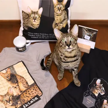 For Pets