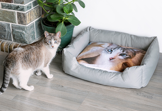 For you and your pet