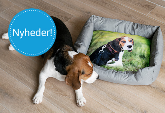 Nyheder