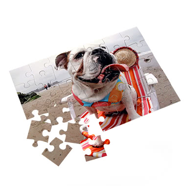 Puzzel 24 stukjes