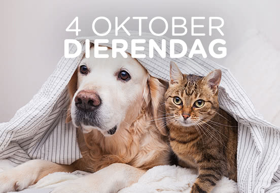 Dierendag