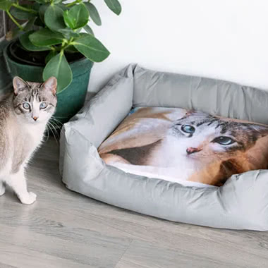 Dierenbed