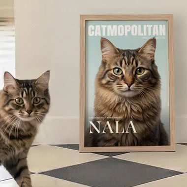 Tijdschriftcover huisdieren